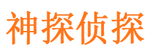 金东市调查公司